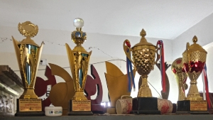 বিভিন্ন প্রতিযোগিতার পুরস্কার