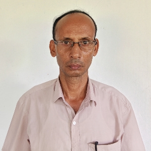 নিরঞ্জন কুমার সরকার 